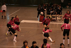 PINK PANTHER集合写真